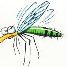 Mosquitos and Conflict Management!